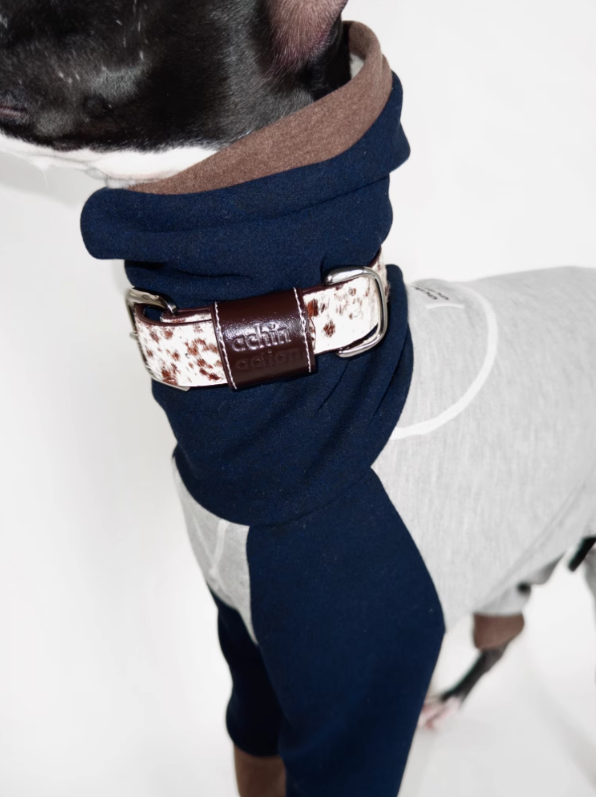 Achin Action DG Leather Collar