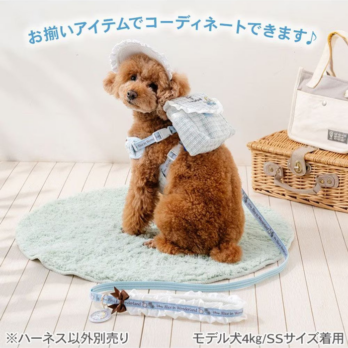 Alice Backpack Harness