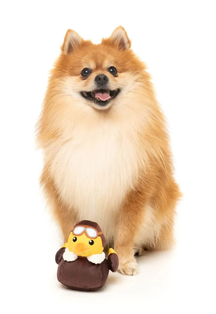 Amelia Quackhart