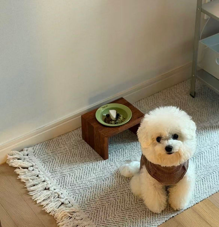 Bridge Dog Bridge Matcha Limited Edition