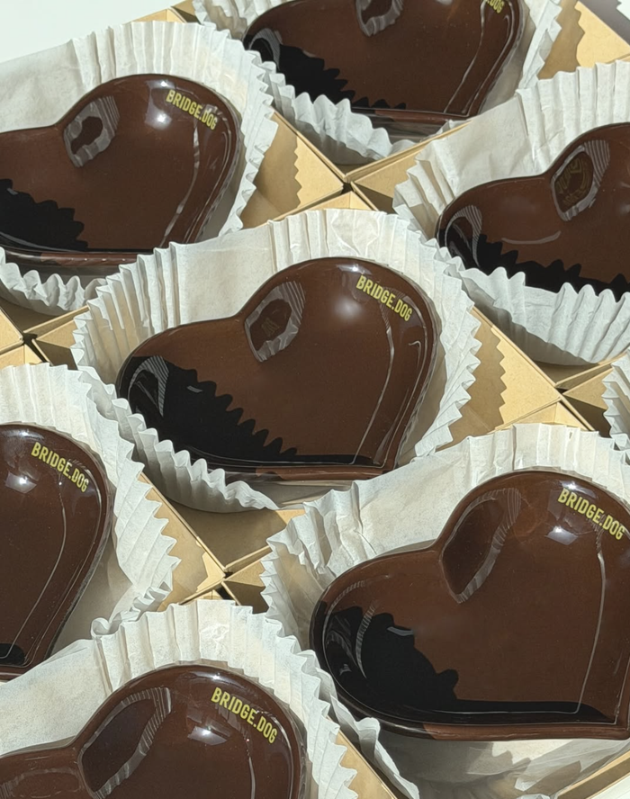 Bridge Dog Heart Dish Dubai Chocolate Edition
