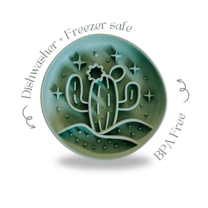 Cactus Slow Feeder