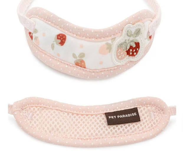 Collar with Leash Little Berry