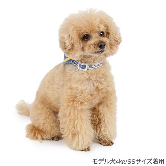 Donald Sailor Collar