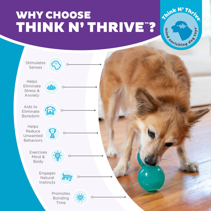 Double-Tuff Interactive Treat Stuffer Durable Dog Chew Toy Medium