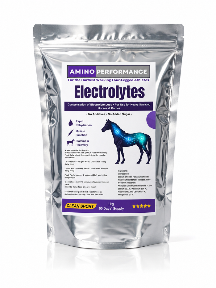 Amino Performance Electrolytes for horses 1kg silver pouch for hydration, muscle function and recovery