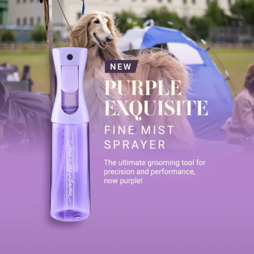 Exquisite Fine Mist Sprayer Purple