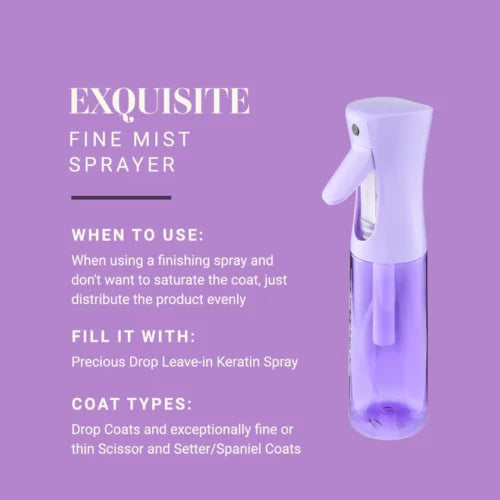 Exquisite Fine Mist Sprayer Purple