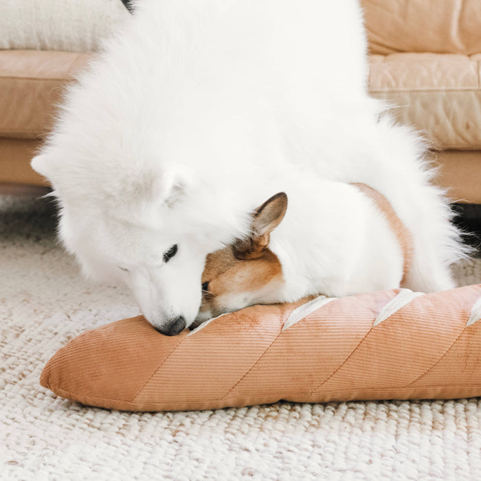 GIANT BAGUETTE//ENRICHMENT DOG TOY