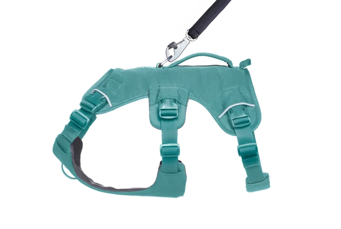 IN STORE ONLY Ruffwear Web Master Dog Harness with Handle