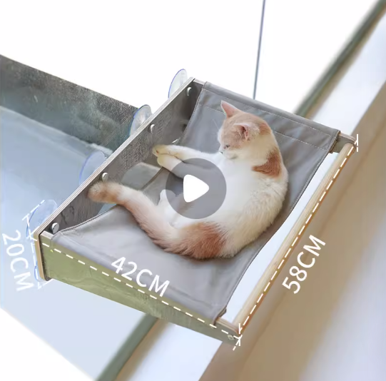 ExLarge Hammock(New)