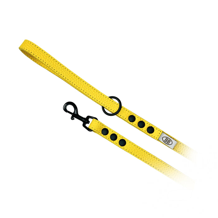 Limited Collection Harness-Bumblebee