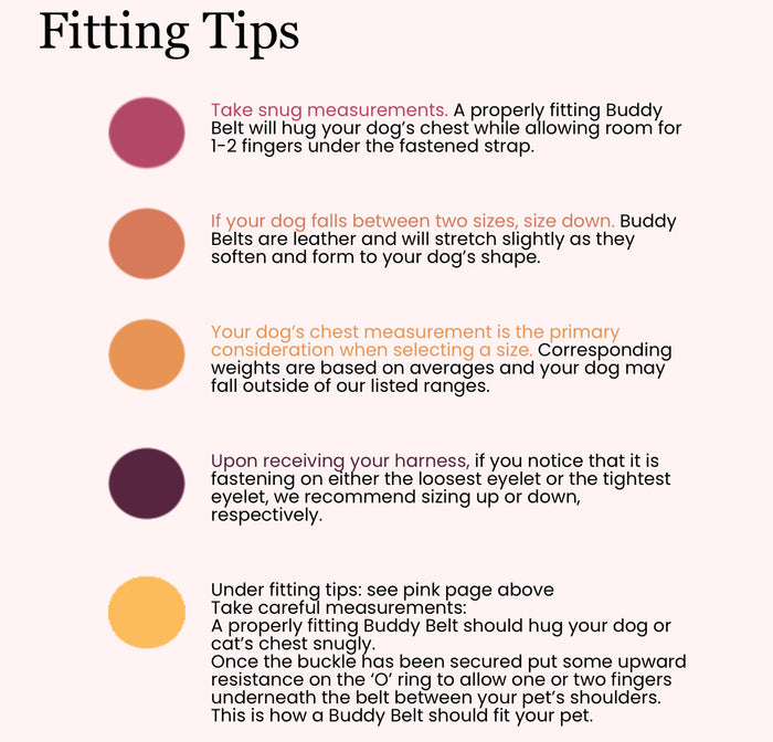 Limited Collection Harness-Dungaree with Crystals