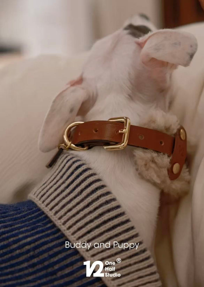 Merino Wool & Leather Collar