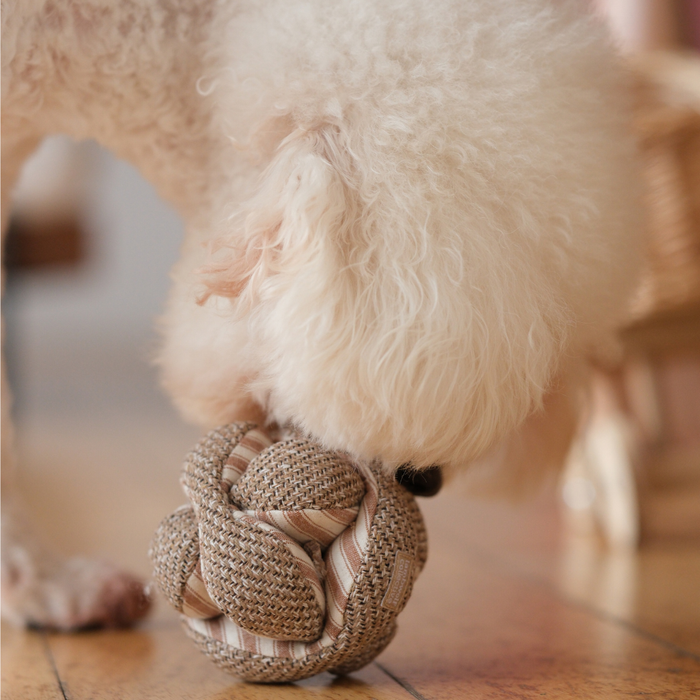 MINI MONTI // ENRICHMENT DOG TOY // SNUFFLE TOY // 2 Color