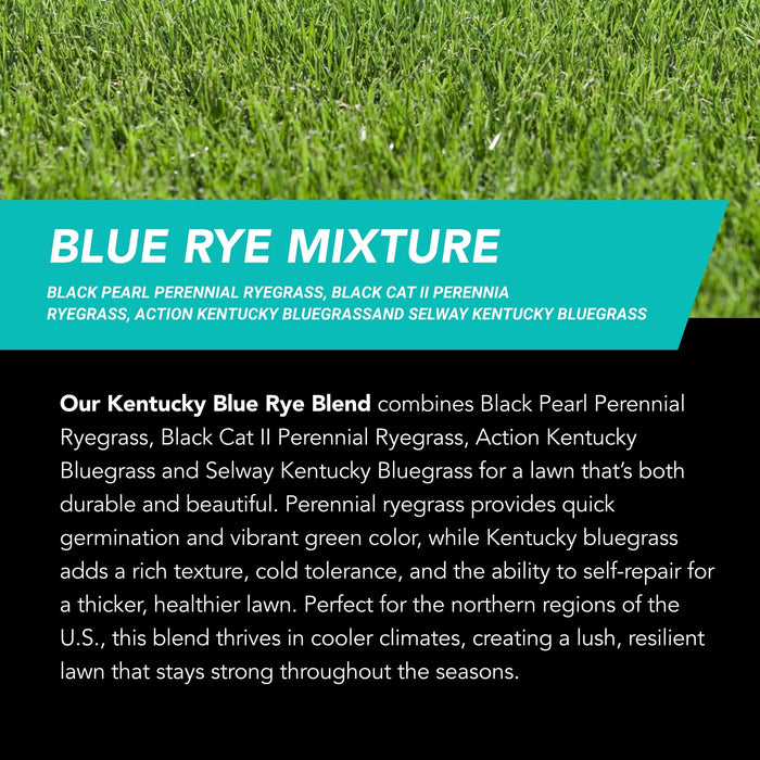 NU-Lawn® Roll (200 sq ft roll)