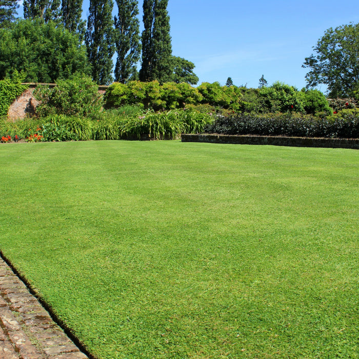 NU-Lawn® Roll (200 sq ft roll)