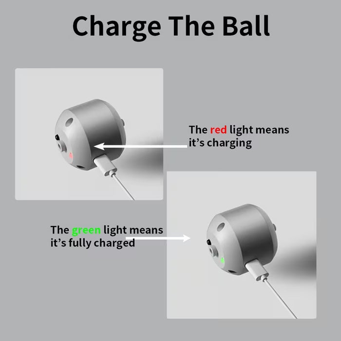 PetGravity Auto Bouncing Ball