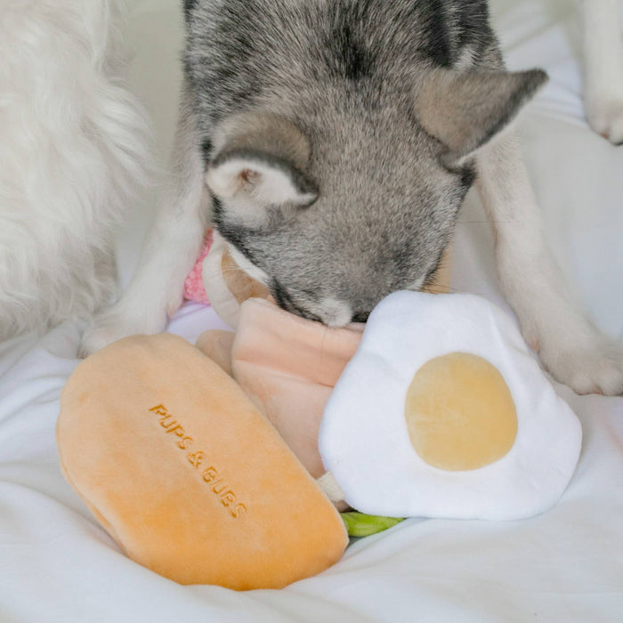 Pita Pocket Nosework Toy