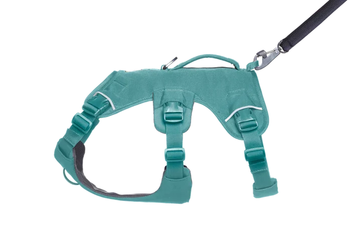 Ruffwear Web Master Dog Harness with Handle