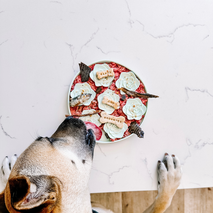 Tea Snuffle Mat