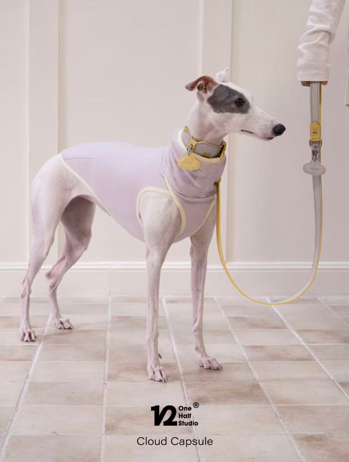 The Cloud Capsule Leather Pet Collar