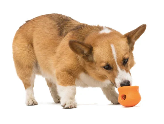 WestPaw TOPPL Puzzle Toy Periwinkle