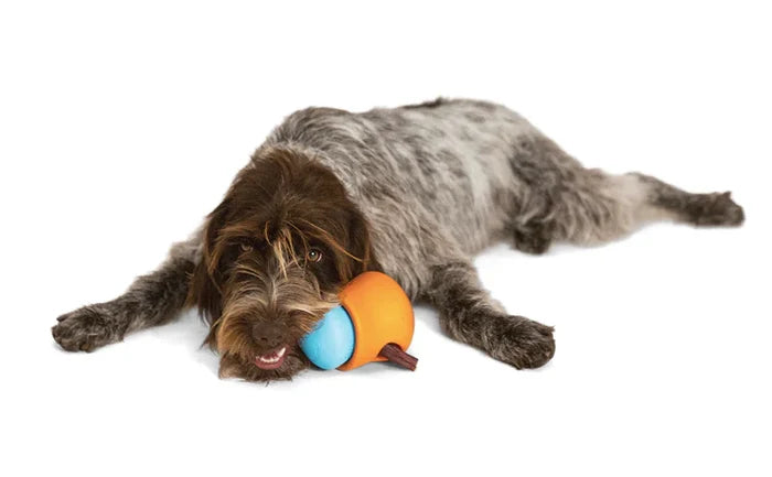 WestPaw TOPPL Puzzle Toy Periwinkle