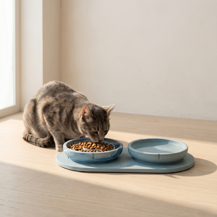 Whisker Friendly Bowl - Bluebird Limited Edition